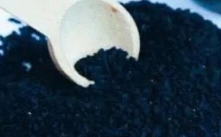 Plant in the Bible Said to Heal All Ailments