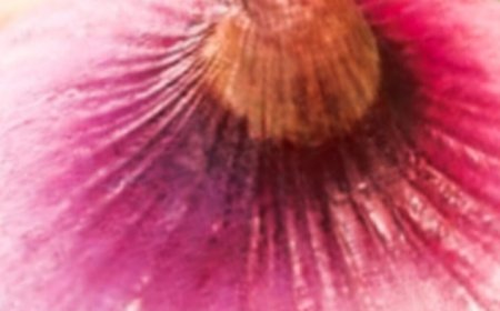 Become an Alpha Male All Night with This Potent Natural Mixture