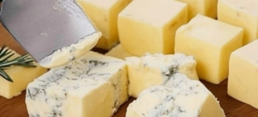 Homemade Cheese Recipe