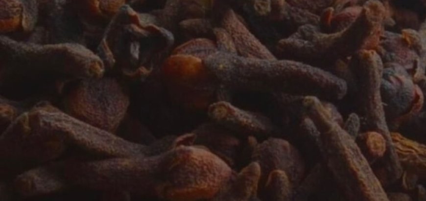 Flower Power: 8 Benefits of Cloves You Probably Didn’t Know About