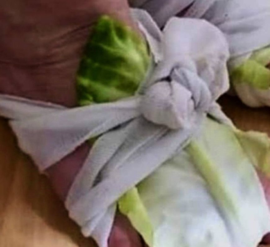 Cabbage Wraps: A Simple Remedy for Swollen Joints and Thyroid Issues