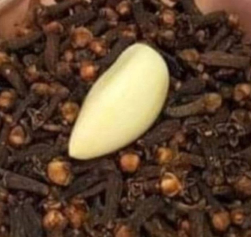 Natural Remedy for Varicose Veins: Cloves and Garlic