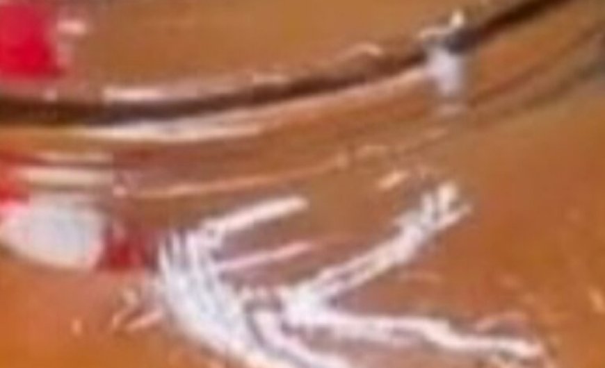 This recipe combines ingredients that may help soothe the throat and support respiratory health. Here’s how to prepare it: