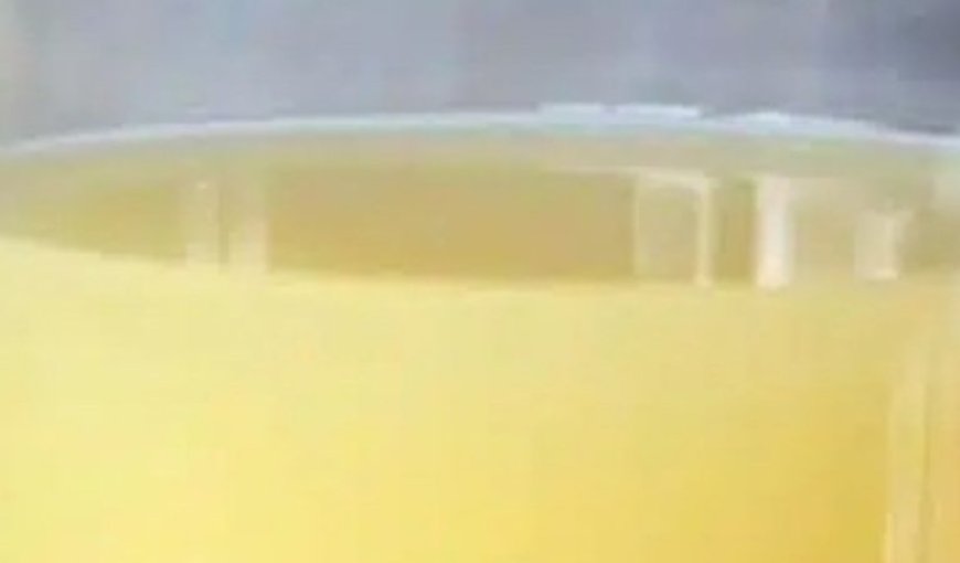 Colon Detox Juice: Apples, Ginger, and Lemon to Flush Out Toxins