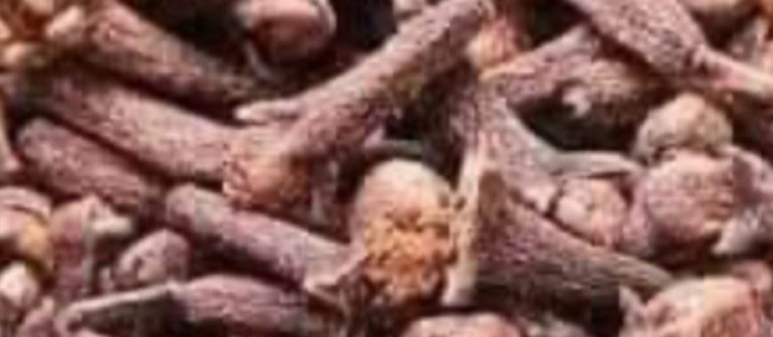 How to Use Sweet Cloves for Weight Loss – The Secret Fat-Burning Spice!