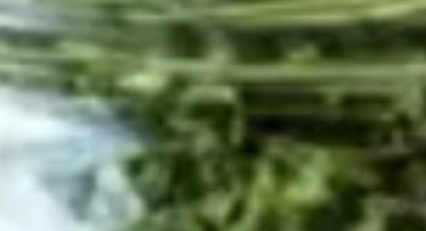 Lemon, cumin, dates, figs: 1 spoon per day