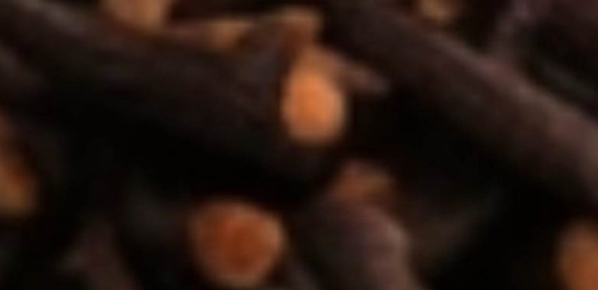 The Natural Remedy That Left Hospitals Empty – A Powerful Cure for Cancer, Diabetes, High Blood Pressure & Poor Circulation!