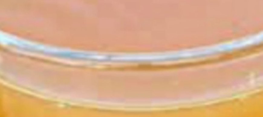 95-Year-Old Chinese Doctor’s Daily Drink for a Healthy Liver and Intestines