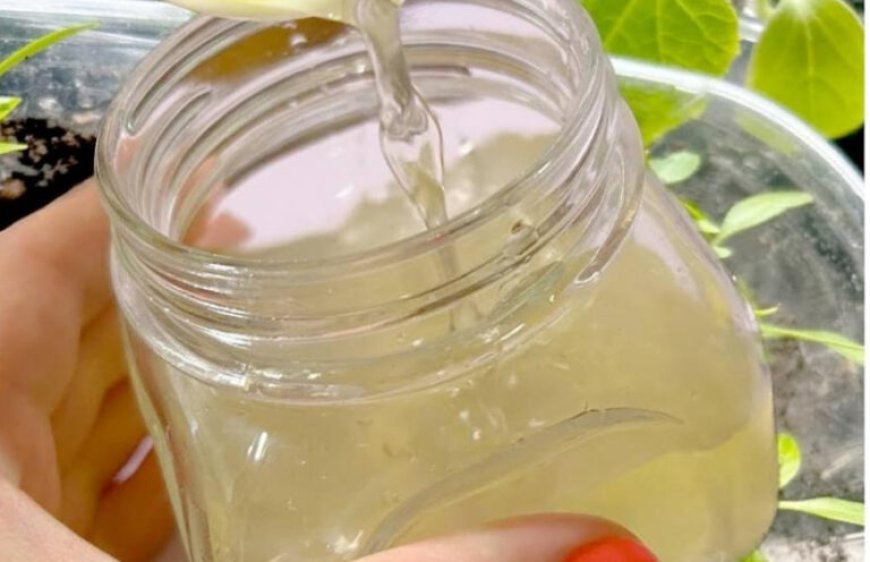 Grow Healthy Plants with Natural Nutrients from Cucumber Peels