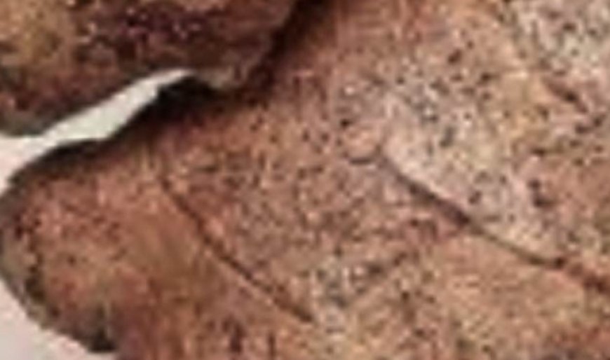 I Haven’t Been Sick for 35 Years! Clear Vision, Sharp Mind & Normal Blood Pressure