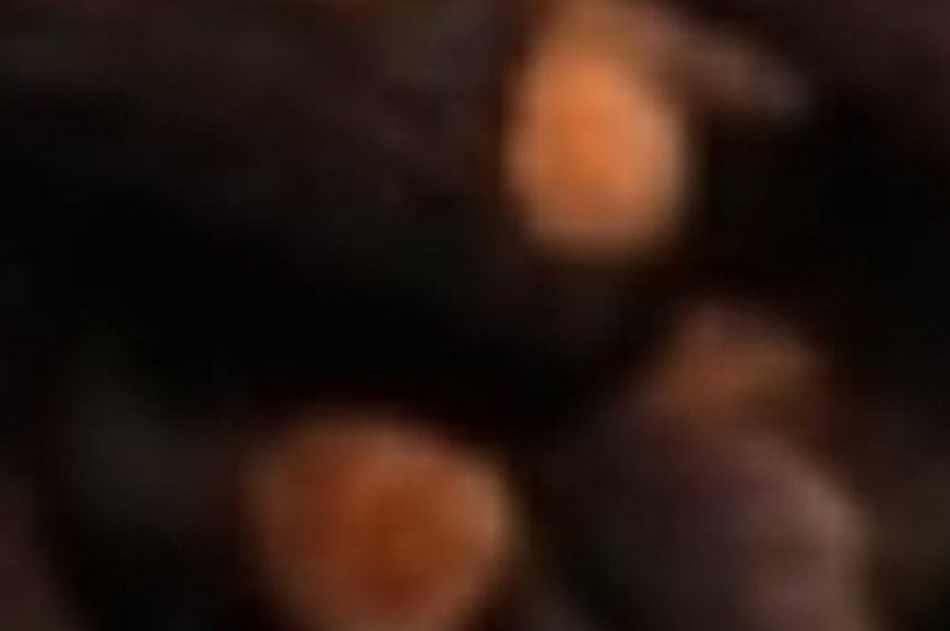 Drink Clove Water for These Amazing Benefits