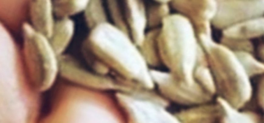 Natural Headache Remedy with Seeds