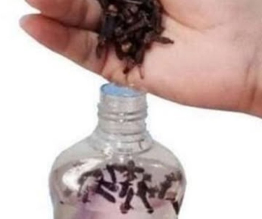 Homemade Clove and Baby Oil Repellent: A Natural Solution