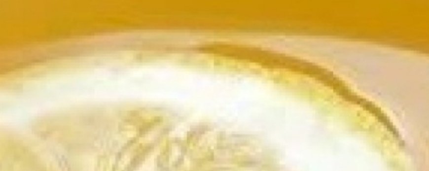 The Most Effective Way to Clear Your Lungs: Cough and Mucus Gone in 3 Days with Lemon Water!