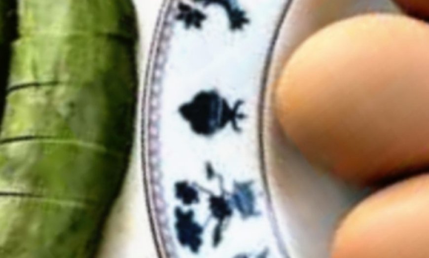 Eggs and Avocado: A Perfect Breakfast Pair