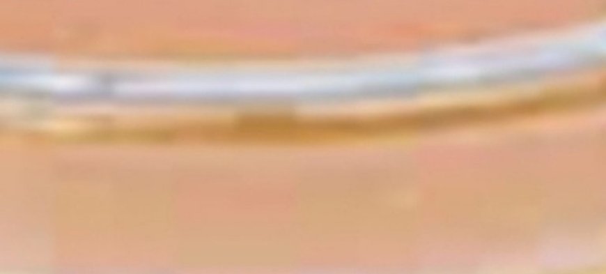 95-Year-Old Chinese Doctor’s Daily Drink for a Healthy Liver and Intestines