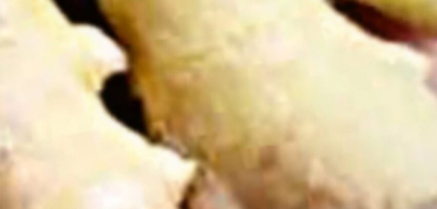 The Miracle Drink That Will Empty Hospitals in 2025 – Say Goodbye to Diseases Naturally!