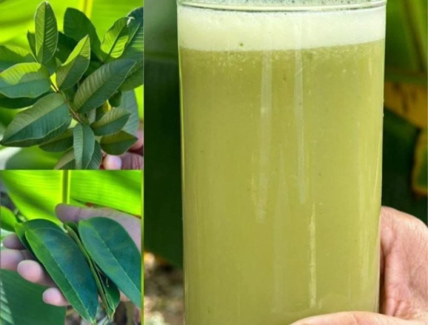This Is the Drink That Can Help Cure Cancer, Diabetes, Poor Circulation, and High Blood Pressure Without Expensive Medications