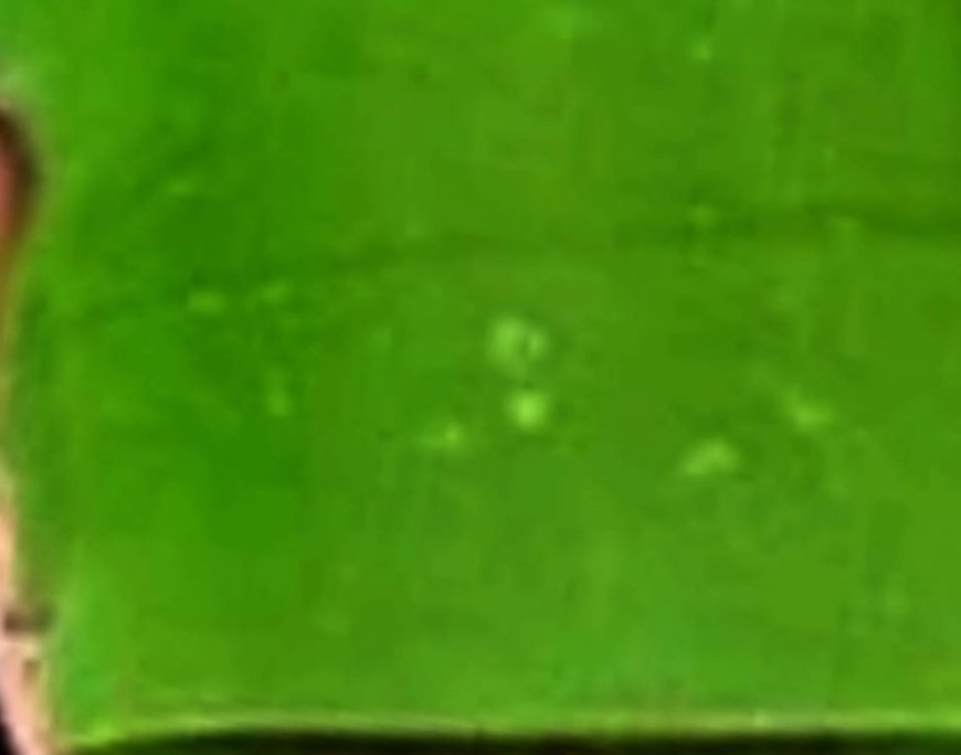 Unlock Radiant Skin with Aloe Vera and Castor Oil: A Timeless Skincare Guide