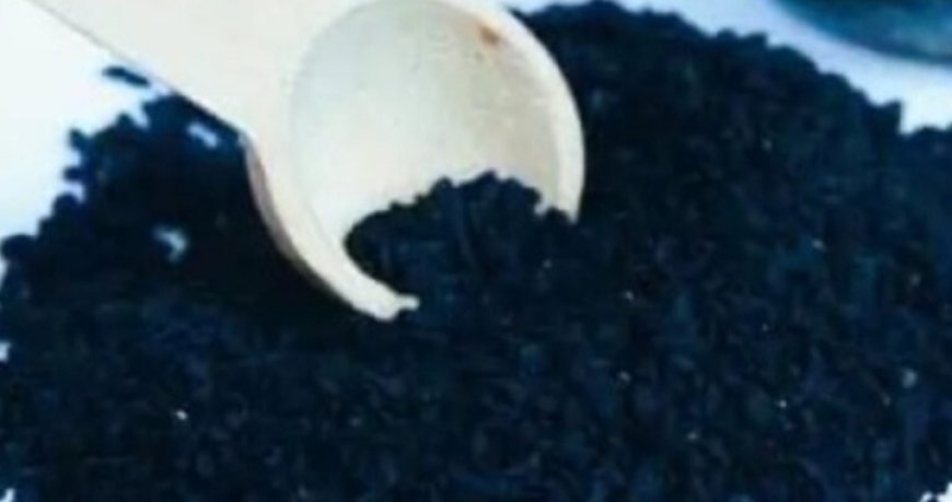 Plant in the Bible Said to Heal All Ailments