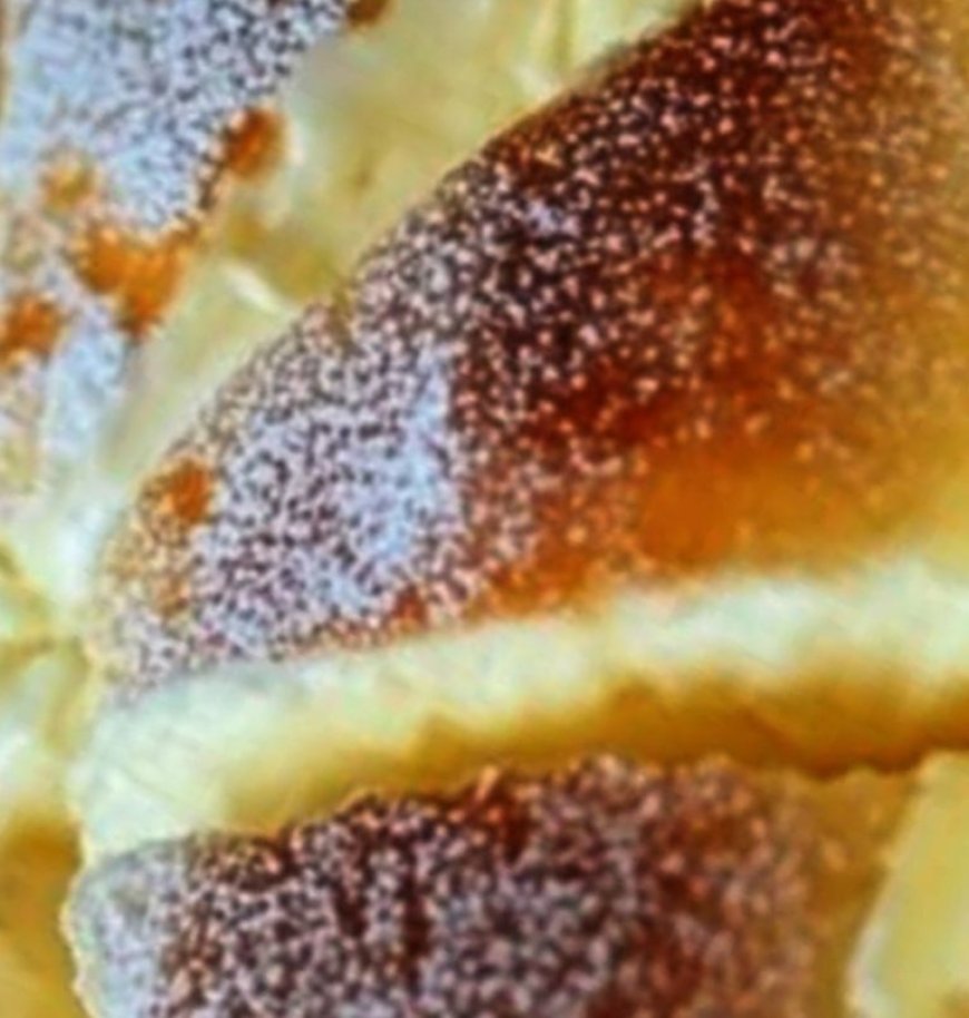 Diabetic Lemon Ricotta Cake