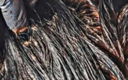 Natural recipe to reverse gray hair using onion peels