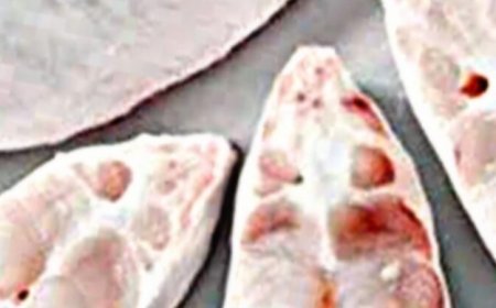 High-Mercury Fish You Should Avoid – Delicious But Dangerous!