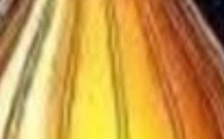 Discover the Magic of Castor Oil and Apple Cider Vinegar