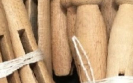 “I Found These at My Grandma’s House and Have No Idea What They Are”