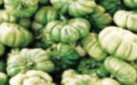 Discover the secret health benefits of common mallow