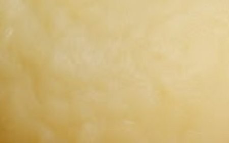 Bombolini (Italian Donuts)