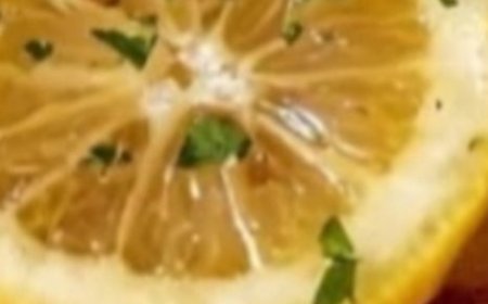 Parmesan crusted lemon chicken