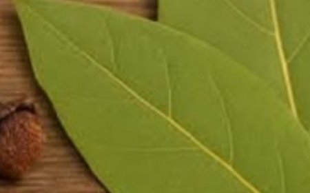 Mix 2 cloves with 2 bay leaves and you will love the result