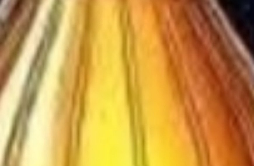 Discover the Magic of Castor Oil and Apple Cider Vinegar