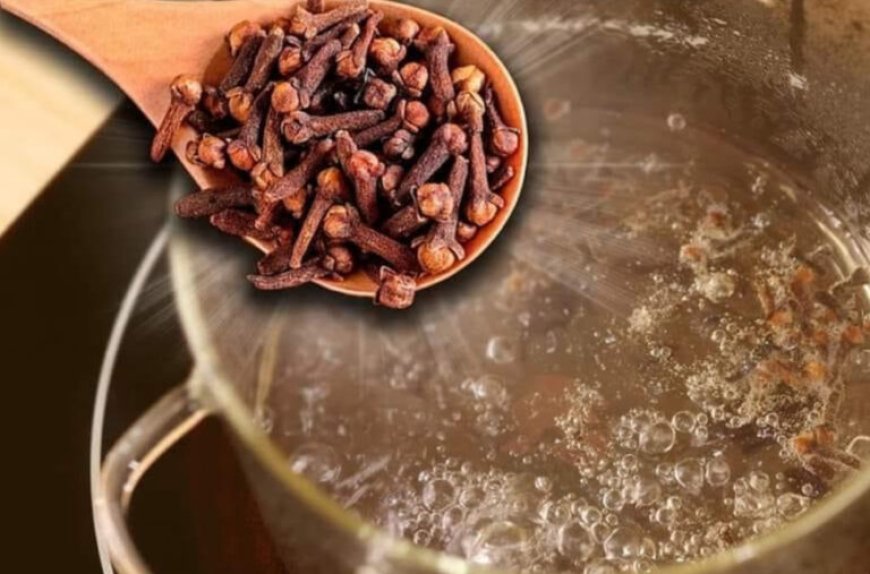 Boil the Cloves, Drink the Liquid, and You Will Be Grateful for This Advice