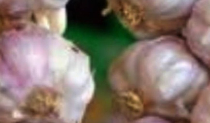 The Best Benefits of Combining Coffee and Garlic: A Powerful Duo for Health