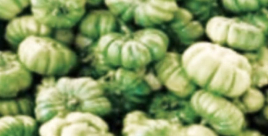 Discover the secret health benefits of common mallow