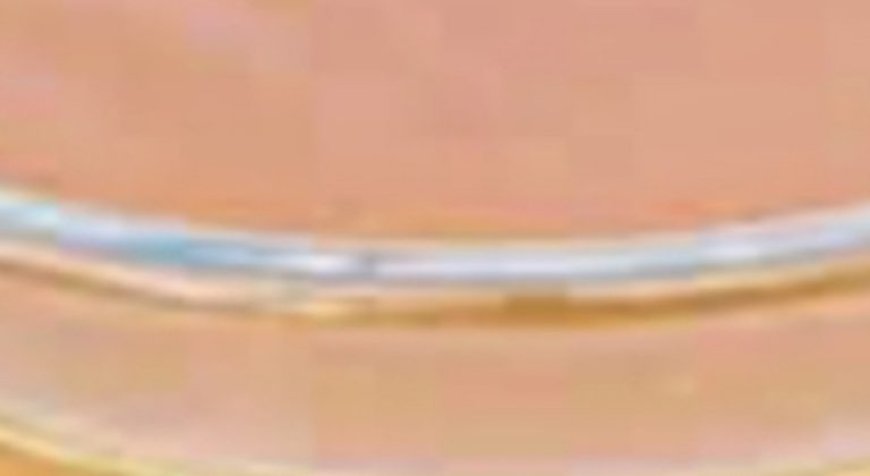 95-Year-Old Chinese Doctor’s Daily Drink for a Healthy Liver and Intestines