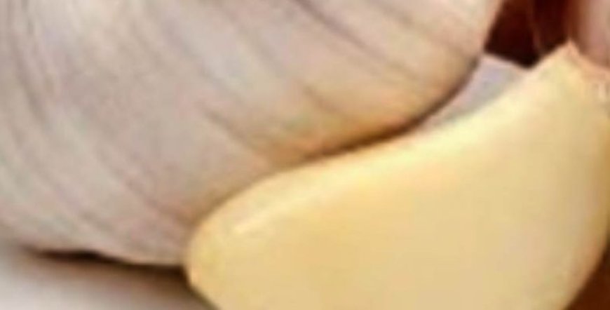 Mixing Garlic, Honey, and Cloves: The Secret No One Will Ever Tell You!