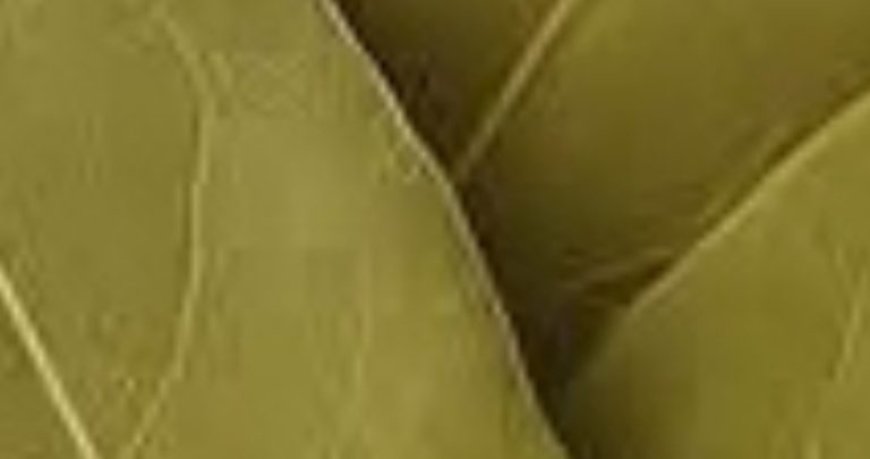 DIY Bay Leaf Skin Treatment