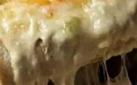 Creamy White Chicken Enchiladas