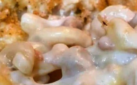 Creamy Macaroni and Cheese Recipe