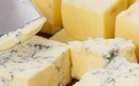 Homemade Cheese Recipe