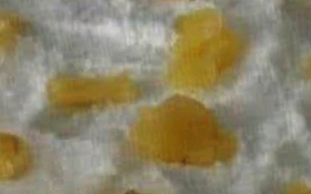 Pineapple cake in a glass dish: the perfect dessert for the whole family