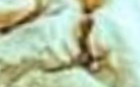 WARNING: Weak Legs Over 55? Strengthen Them With These 7 Foods