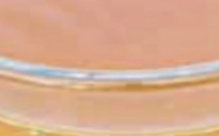 95-Year-Old Chinese Doctor’s Daily Drink for a Healthy Liver and Intestines