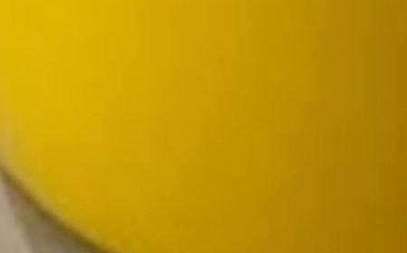 The Power of Turmeric