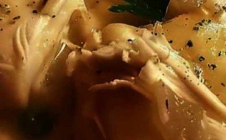 the chicken and dumplings