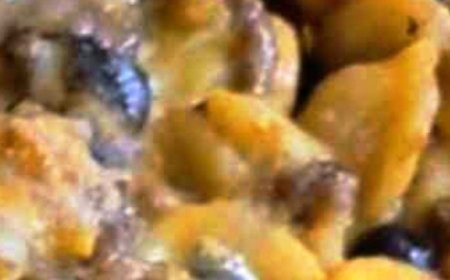 Basic Taco Pasta Casserole