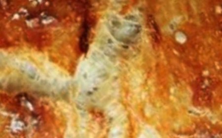 This no-knead bread recipe is so easy. Plus, it always impresses guests